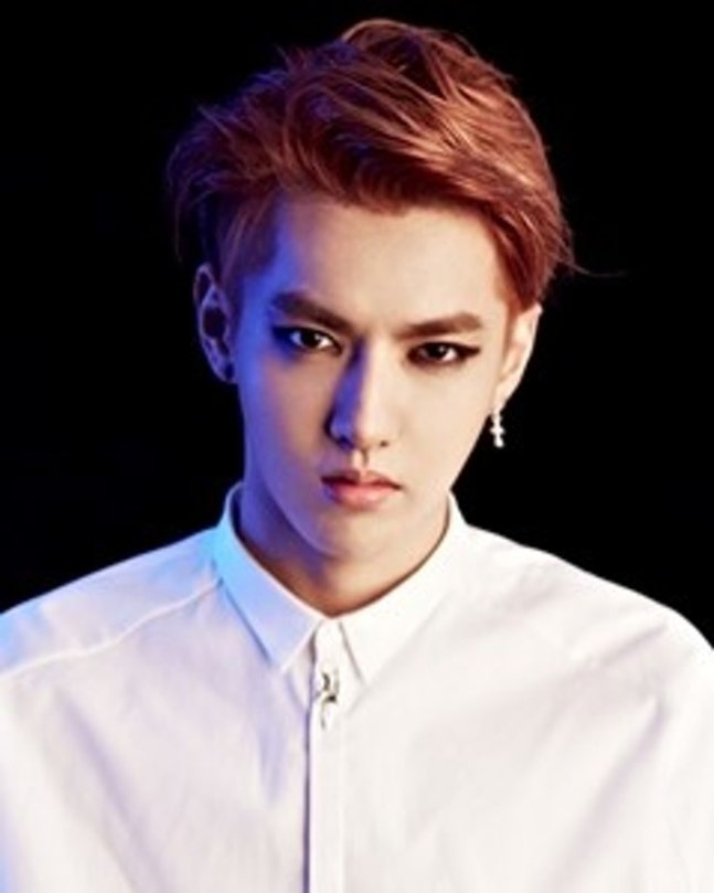 "前 엑소 크리스, 사망? 가짜 뉴스"..中 경찰 반박 [스타이슈]