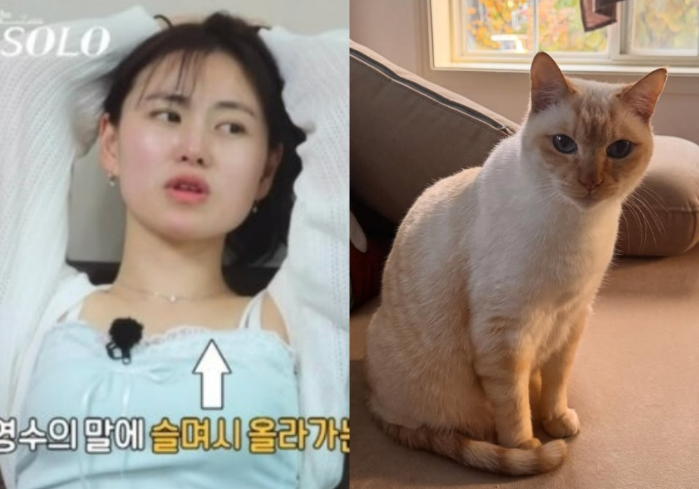 "난 앞발 모은 고양이"..28기 현숙, 진짜 '고양이' 앞에선 "힐링"