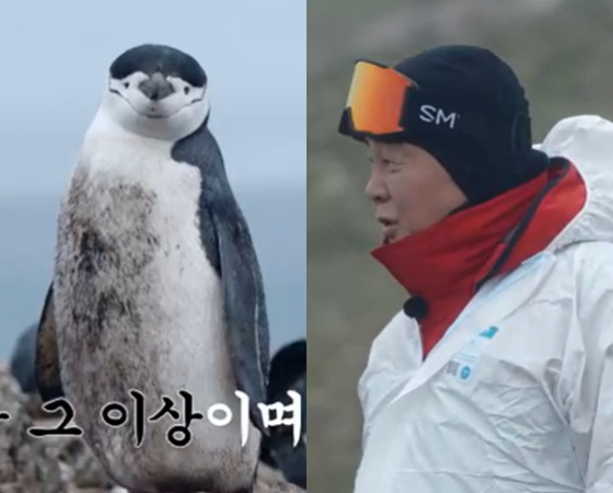 백종원·임수향, 펭귄 안 만졌다..'학대 의혹' 장면 풀공개(남극의 셰프)[★밤TView]