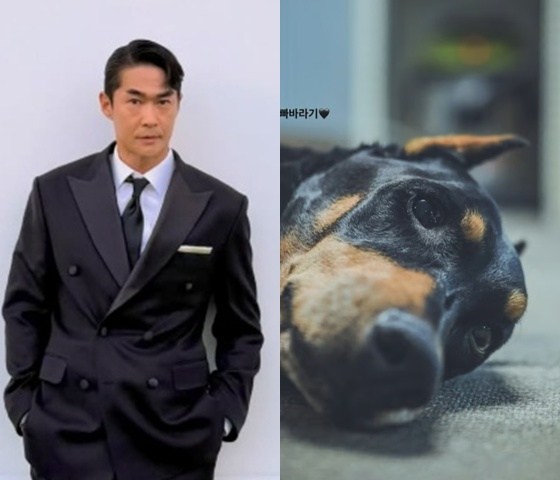 배정남, 반려견 세상 떠난지 3달째..모든 셀카에 "벨 아부지" 그리움ing