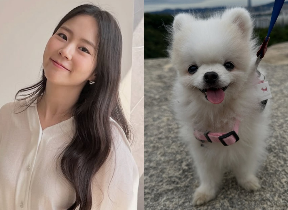 카라 한승연, 안타까운 이별 알렸다.."내 동생 꼭 다시 만나"