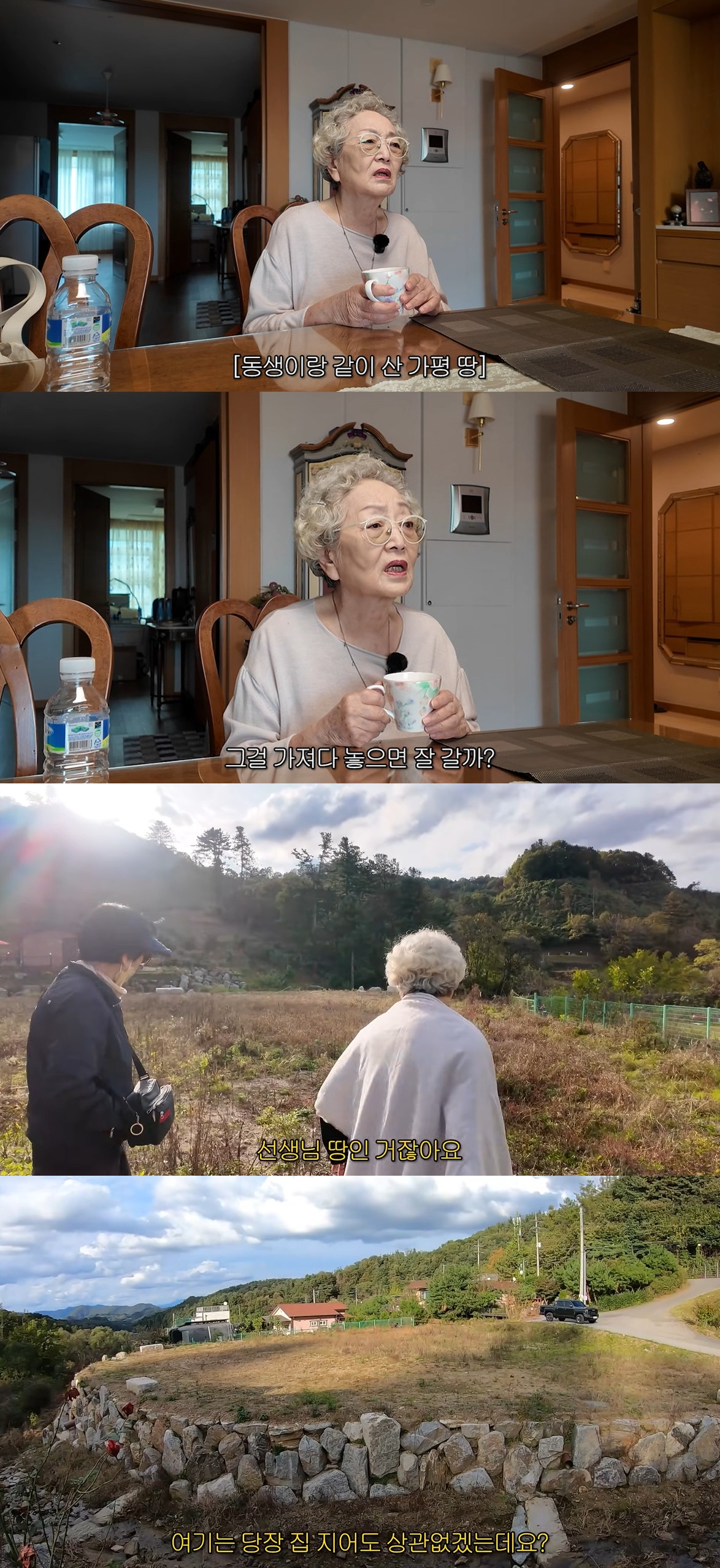 김영옥, 알고 보니 땅 부자였다.."동생과 함께 800평 구매"[스타이슈]
