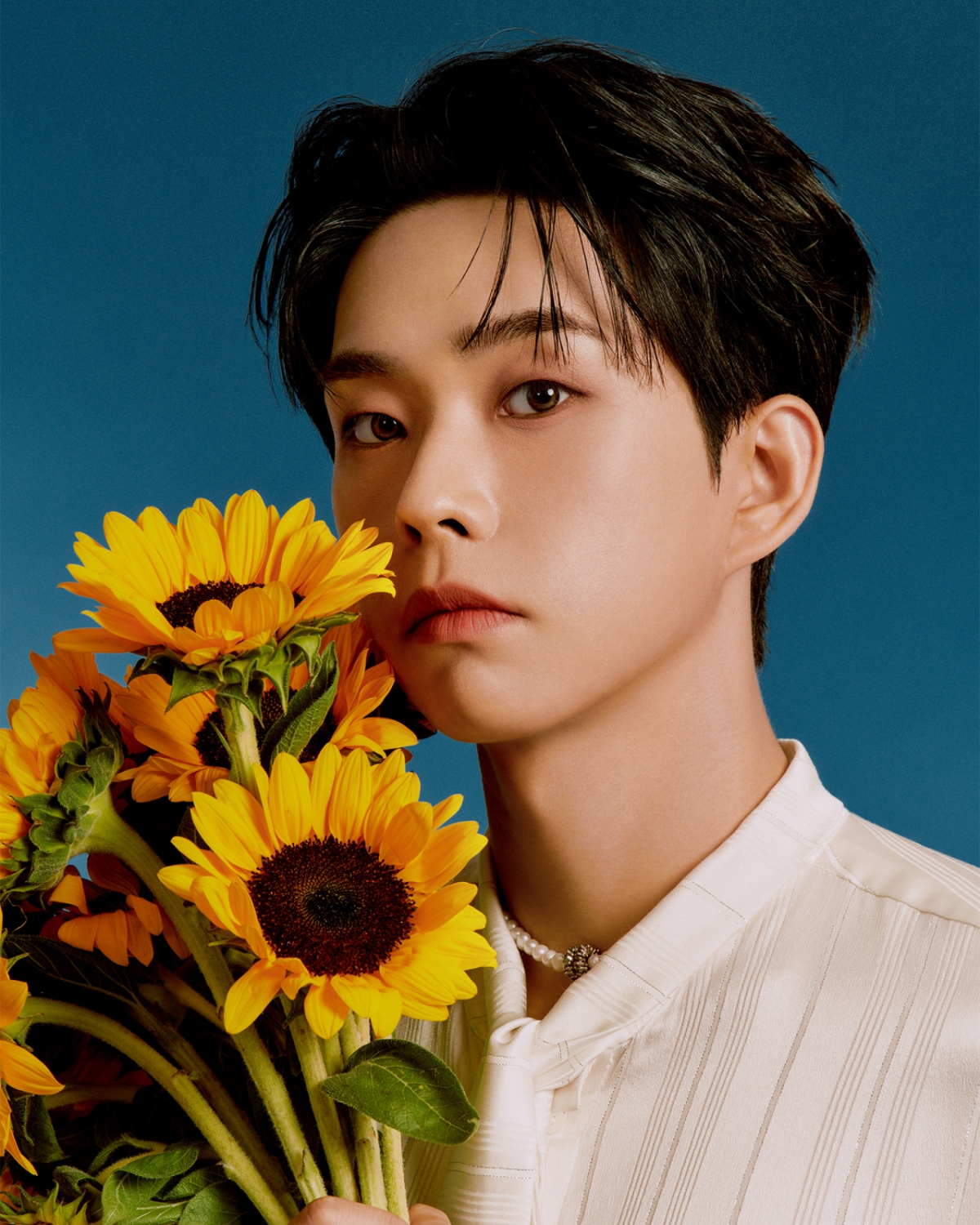 루시 최상엽, OST로만 7연타 활약