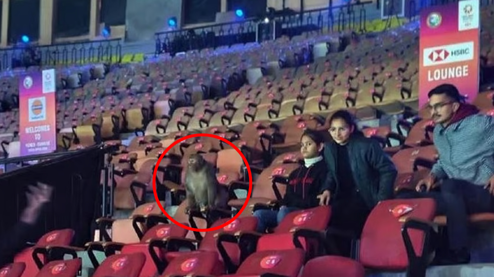 Ahn Se-young: Stadium Conditions & Badminton Concerns