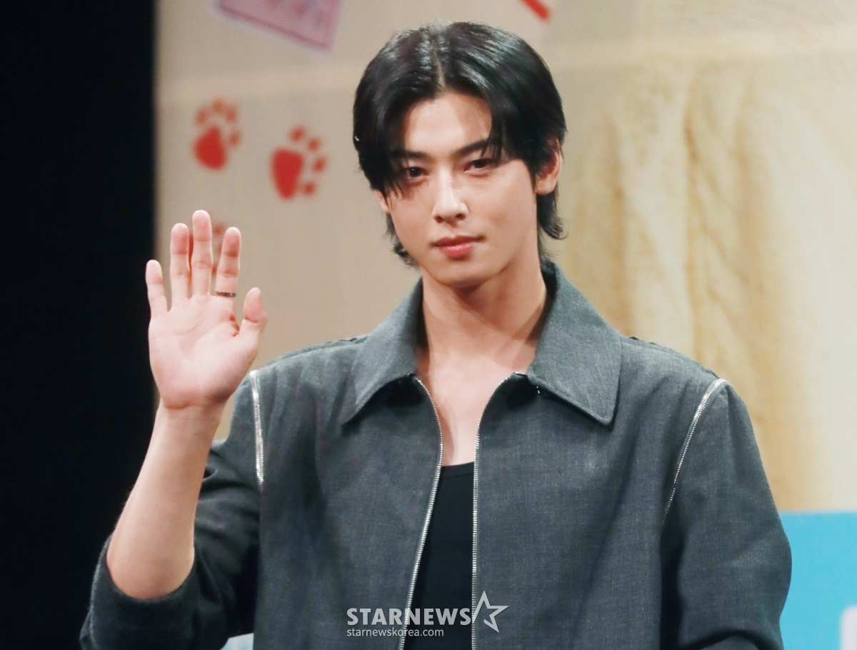 "원래 타깃은 차은우 아닌 '몸통' 판타지오였다"..전 국세청 조사관도 놀란 '200억 탈세'[스타이슈]