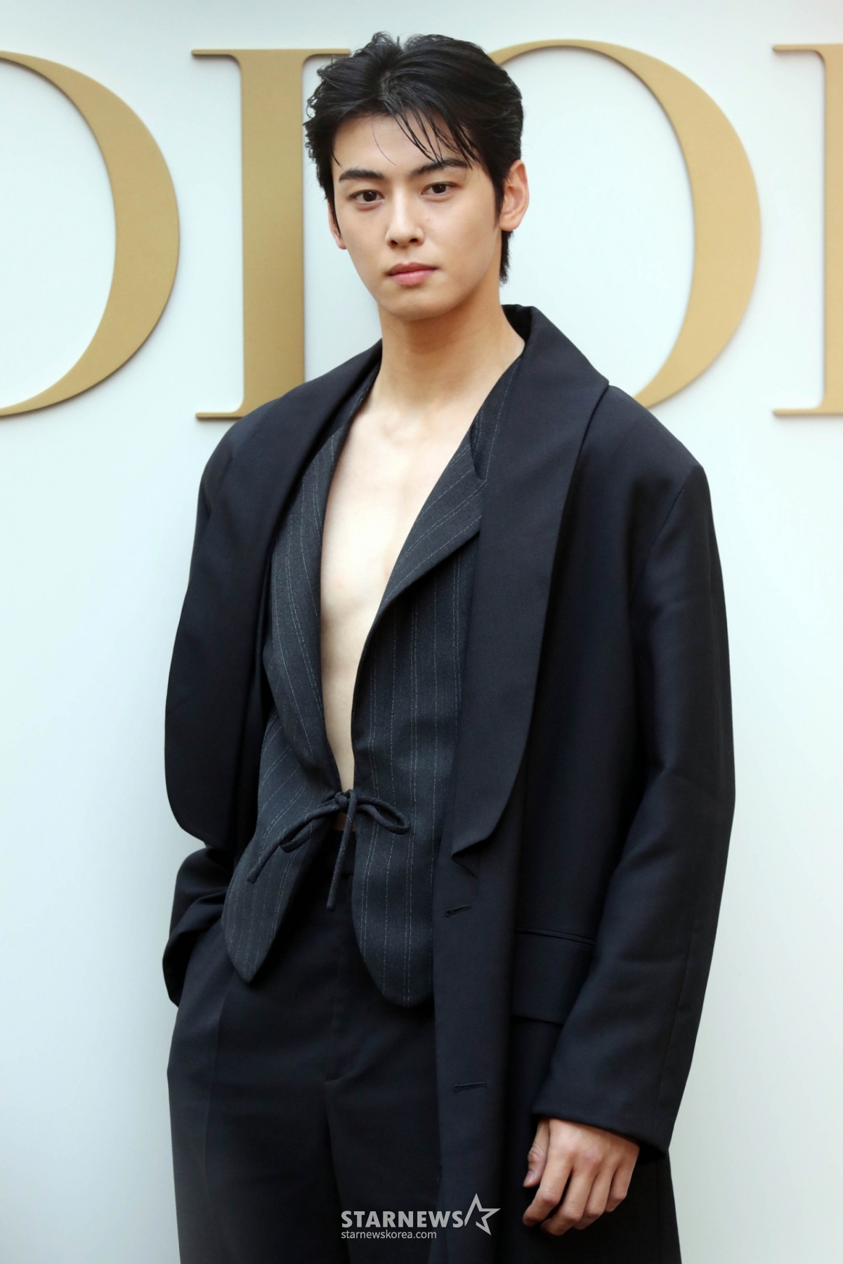 涉嫌逃税200亿韩元的车银优: