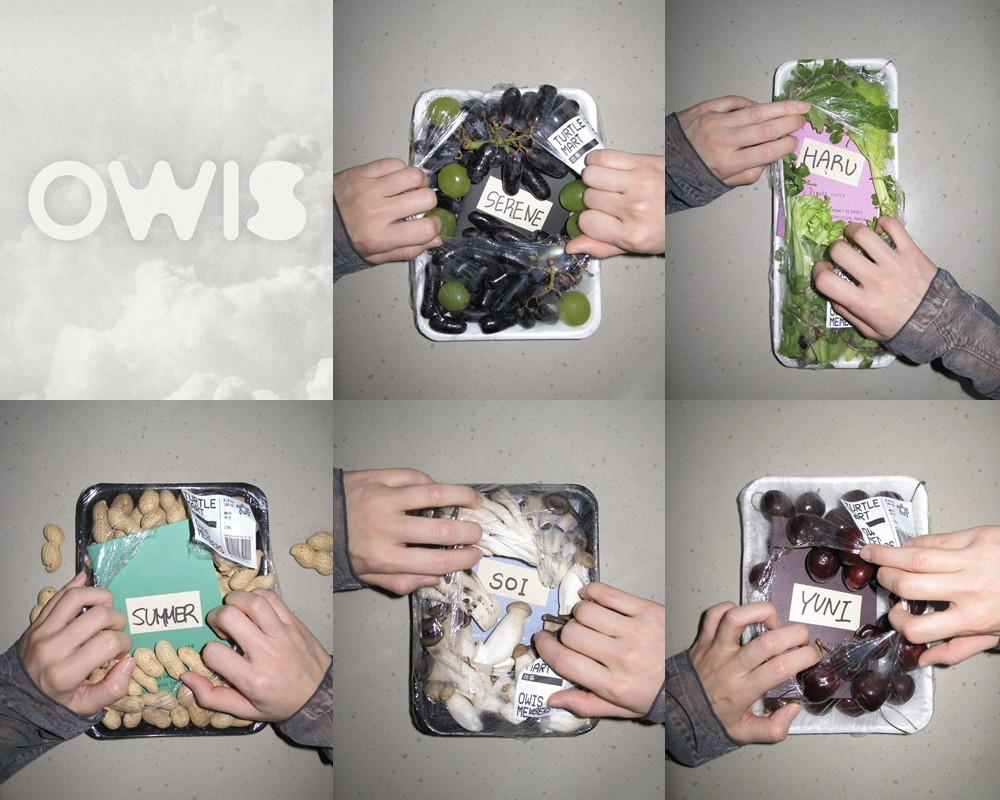 '이해인 제작 버추얼' 오위스, 5인조 확정..3월 데뷔 예열