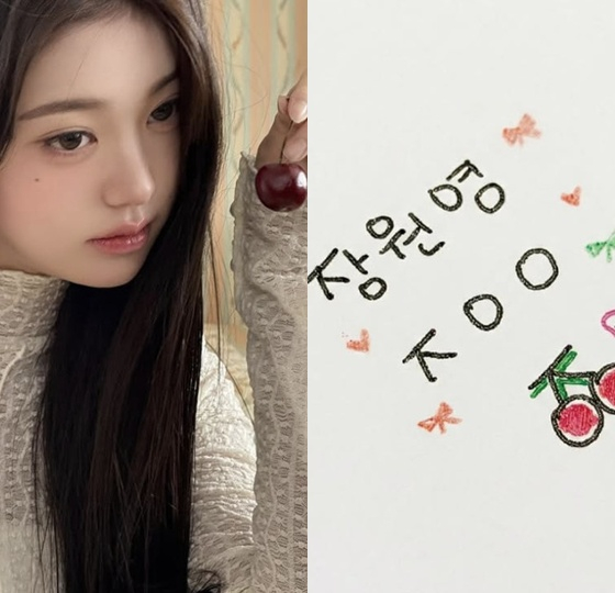 저금통·가발 고정용 접착제 '원영적 사업'..장원영, 결국 '포에버 체리' 상표권 출원 [스타이슈]