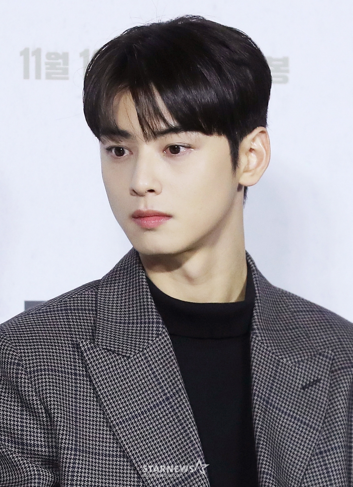 "가족 무관" 선 그었지만..판타지오, 차은우 母 장어집 상표권은 '확보' [종합]