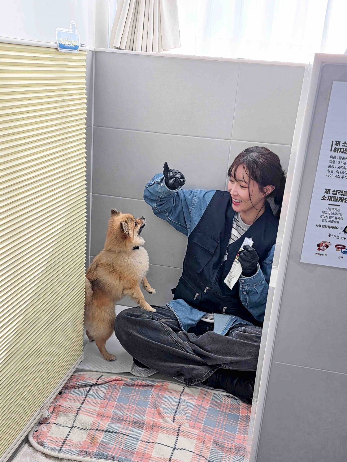 임수향, 안락사 없는 동물 보호소에서 펴친 선행.."저에게도 위로가 된 경험"