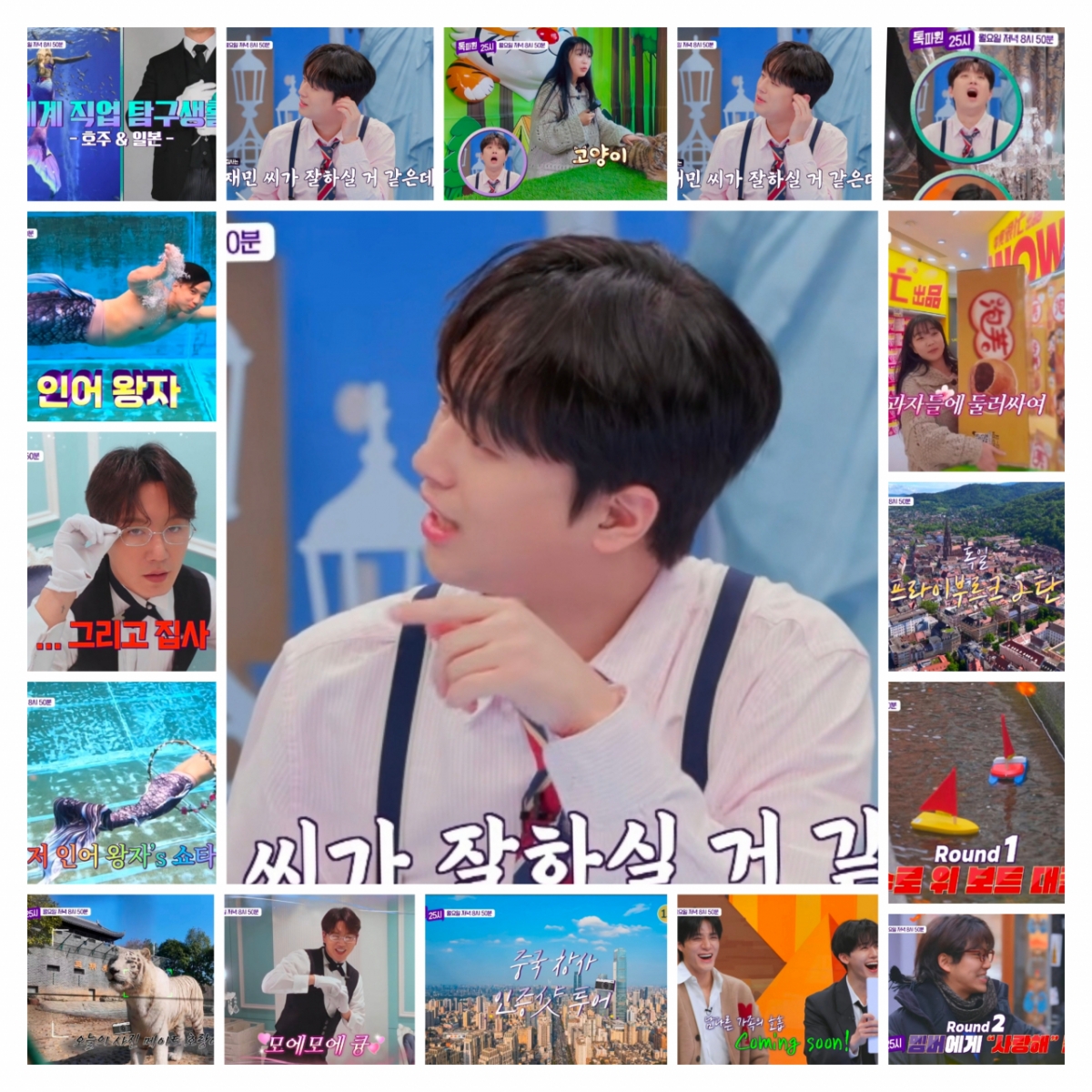 "오메!" 이찬도 깜짝 놀란 인증 사진 메이트 [톡파원 25시]