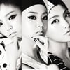 카라사태, 분쟁부터 타결까지 급박했던 '100일'(일지)