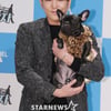 '개밥남' 강인 "반려견 춘향이, 신민아·전지현 급으로 예뻐"