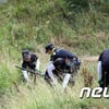 이수정 교수 "강진 여고생 실종, 용의자 신변 확보 못해 아쉬워"