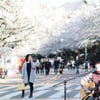 [경마]렛츠런파크 서울, 무료입장 이벤트
