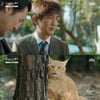 '루왁인간' 안내상, 해고 위기의 만년 부장..'짠내' 폭발