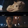 '어서와' 신예은, 알레르기 有 서지훈 대신 고양이 보호