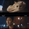 첫방 '어서와' 김명수, 신예은 생각과 다른 고양이..앞으로는? [★밤TV]