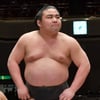 일본 충격, 28세 스모선수 코로나19로 사망... 20대 최초 사례