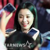 한효주 '1박2일' 각서→'서울촌놈' 출연..해적2' 촬영 중 [★NEWSing]