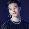 하늘을 나는 'HAPPY JIMIN DAY'..방탄소년단 지민 中팬들 3개월간 제주항공 래핑 비행기 운행 '역대급 생일 서포트'