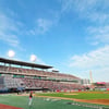 '막대풍선 응원도구 사라진다' KBO, 환경 보호 앞장서다