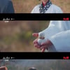 '구미호뎐 1938' 김소연, 이동욱에 고백한 김승화에게 "얘 내거다" 경고