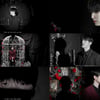 역시 확신의 메보..원어스 서호, 'Who I Am' 커버에 원곡자 샤라웃