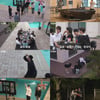 웃기는데 진심인 세븐틴..도파민 폭발 MT 현장 포착