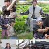 "가요 부르면 안 됐다" 정미애, 트로트 가수 된 이유는? [슈돌]