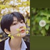 피에스타 혜미, 故김새론 추모 "의리있고 착한 친구"[스타이슈]