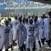 서울고-마산용마고 '이마트배' 결승 격돌... 13일 랜더스필드서 첫 우승 도전