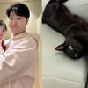 '친형 소송' 박수홍, 고양이 다홍이 향한 뭉클함 "고마운 존재"