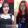 웬디·조이 떴다..레드벨벳 아이린&슬기 콘서트 참석 [스타현장]