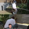 코요태 신지, 김종민도 반대한 전원주택 살이.."잡생각 안 나서 좋아"