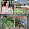 이영애, 쌍둥이 육아 고민 토로.."서울 이사 후 마라탕 배달 즐겨"[냉부해][★밤TVIew]