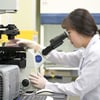 KGC인삼공사, '홍삼'의 콜레스테롤 개선 기전 최초 확인