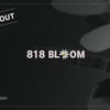 지드래곤 'GD 818 BLOOM', 다 팔렸다