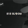 G-DRAGON’s “GD 818 BLOOM” Sold Out
