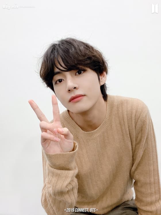 방탄소년단 뷔(BTS V) /사진=빅히트엔터테인먼트 공식 네이버 포스트