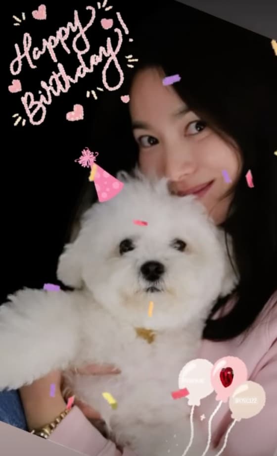 사진=송혜교