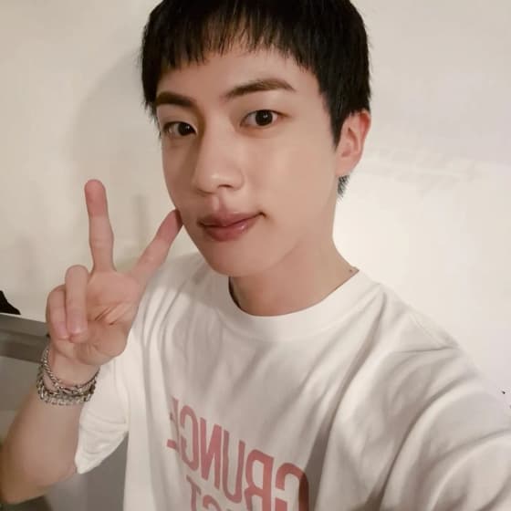 사진=방탄소년단 진 SNS