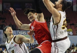 [フォト] マレー「高さの勝利」