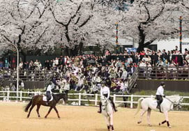 果川市民日常生活中的开放公园，首尔Let's Run Park