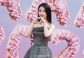 「アイユが家に来て脅迫」..セクハラ→侮辱の悪質コメント投稿者96人のID公開 [スター・イシュー]