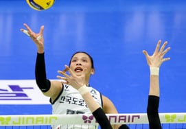 [Фото] "Это мягко!' Танача