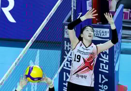 [相片儿] "时机很好"正官庄二传手廉惠善和崔瑞贤