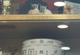 《1周年》已故金赛纶的李英有，深切的思念..."一天都不会忘记我们的Ron"