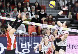 '11 trận thua liên tiếp của giám đốc điều hành Jung Kwan', ngân hàng tiết kiệm Pepper's thua 2-3 trận.