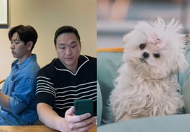 "我的朋友花儿"李柱胜，追悼具成焕的伴侣犬不痛不痒的问候